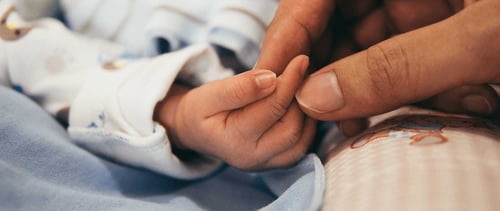 An adult holder a newborn babies hand.